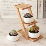 Wooden Plant Stand